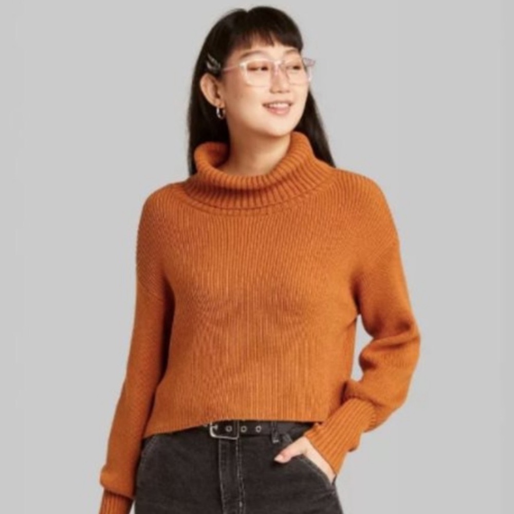 Wild Fable Cowl Neck Fall Sweater T23